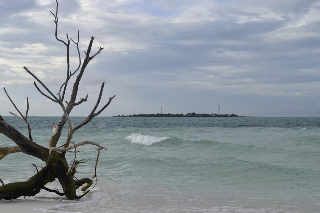 Alvi Star Inn Thulhaadhoo エクステリア 写真